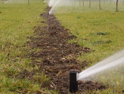 Professzionális automata öntözőrendszer telepítés szolgáltatás